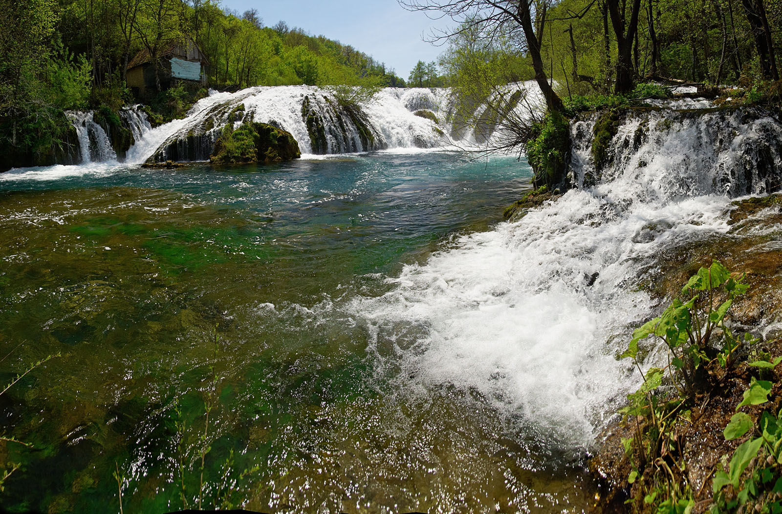 SUSNJAR5 PANORAMA